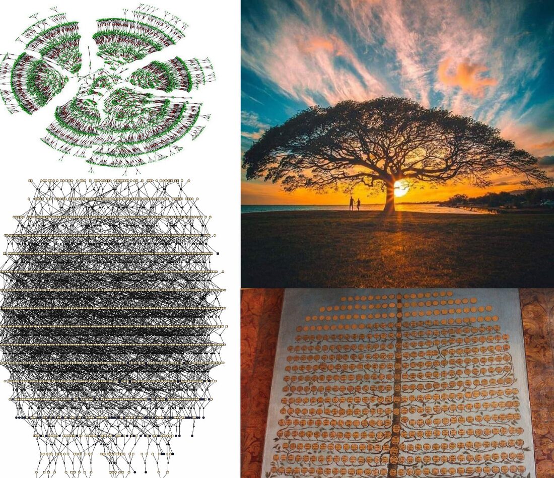 world's largest family tree